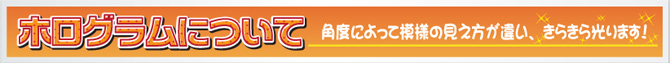 ホログラムのご注文について